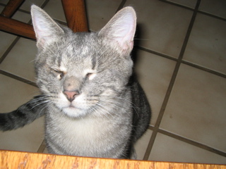 click for larger size