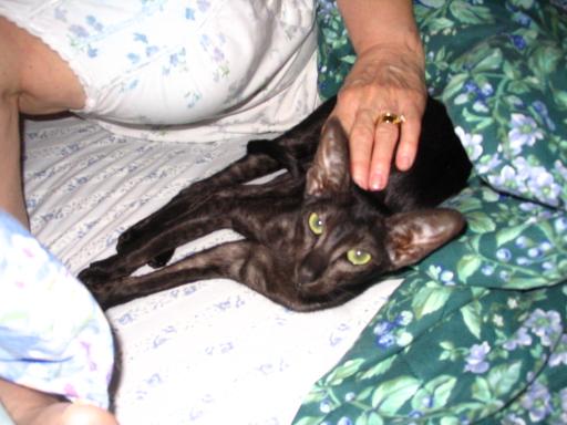 click for larger size