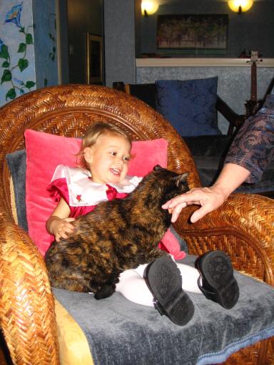 click for larger size