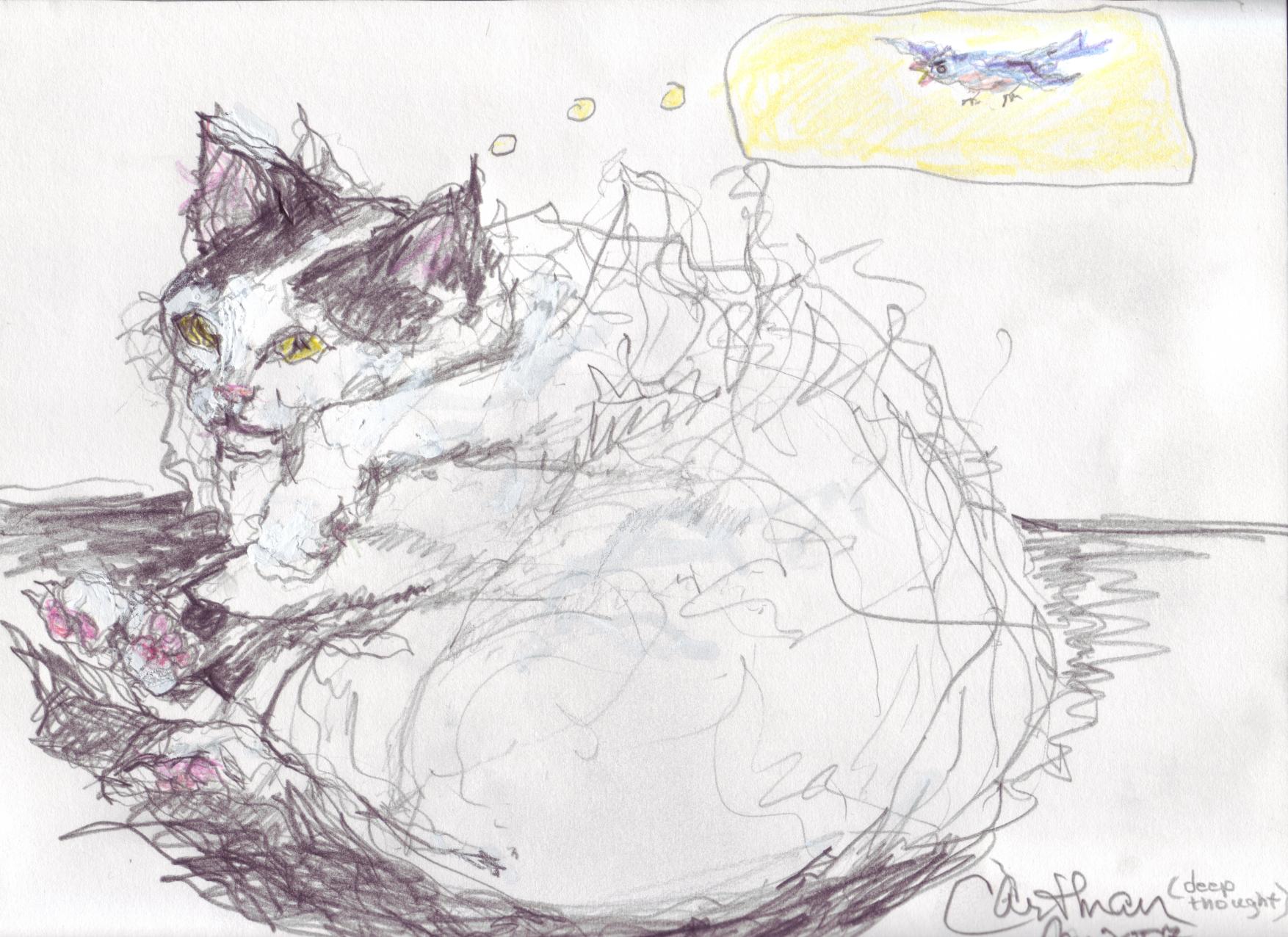 click for larger size