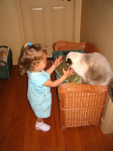 click for larger size