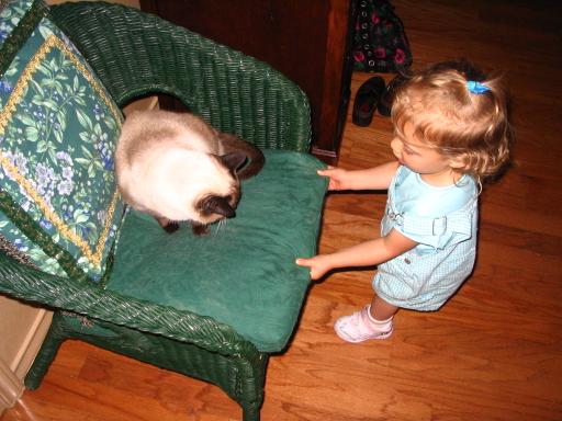 click for larger size