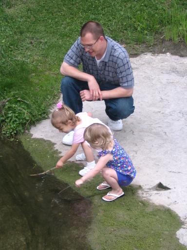 click for larger size