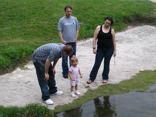 click for larger size