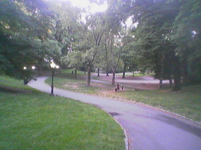 click for larger size