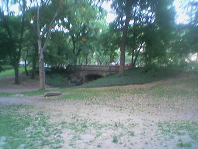 click for larger size