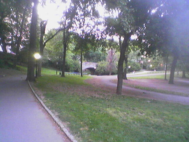 click for larger size