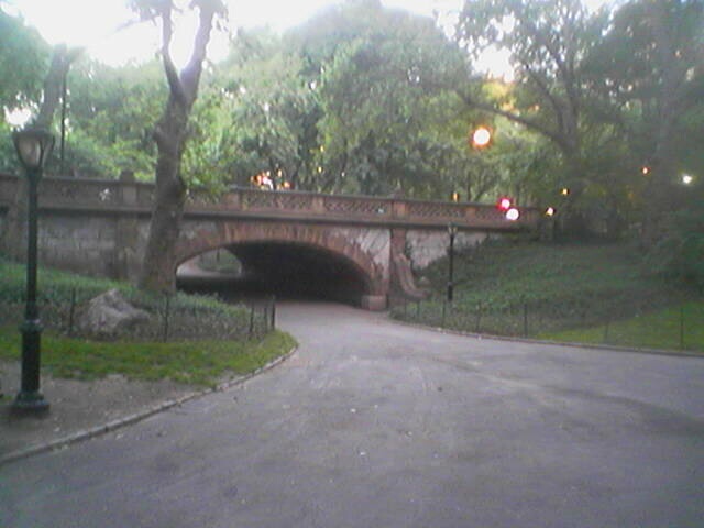 click for larger size