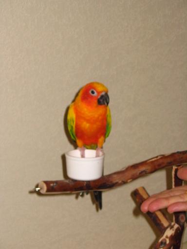 click for larger size