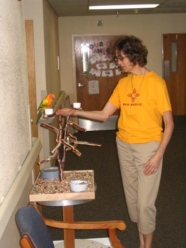 click for larger size