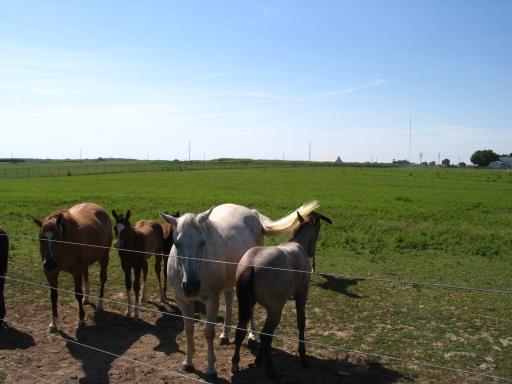 click for larger size