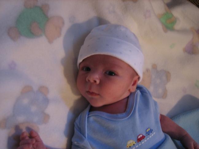 click for larger size