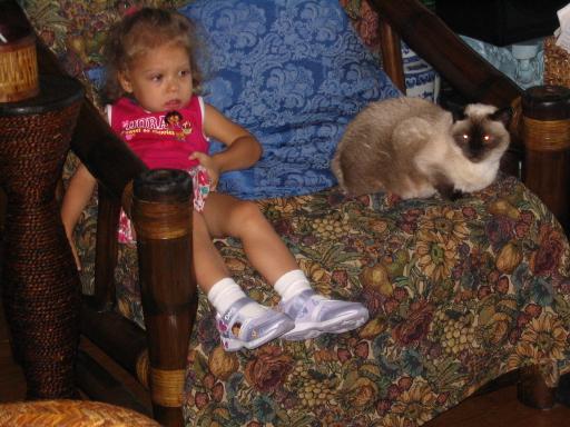 click for larger size