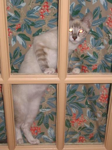 click for larger size