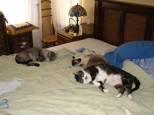 click for larger size