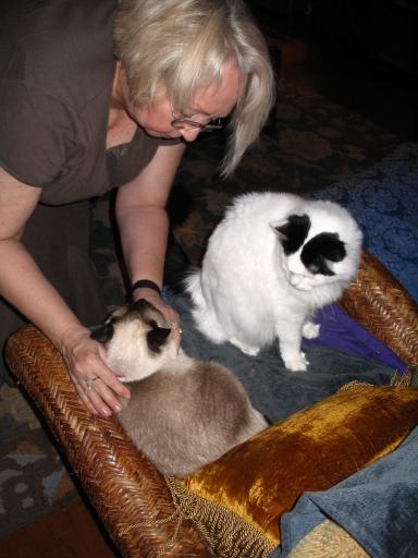 click for larger size