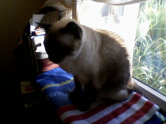 click for larger size