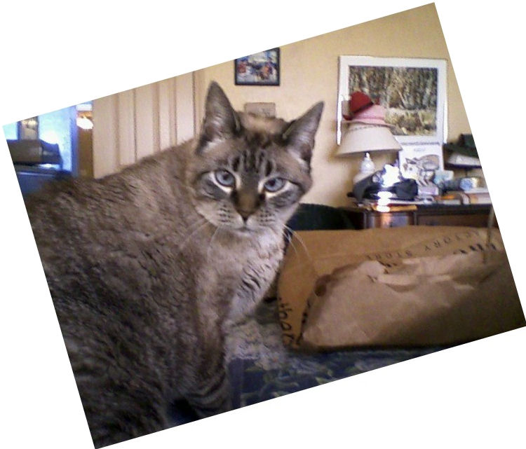 click for larger size