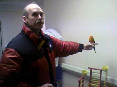 click for larger size