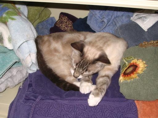 click for larger size