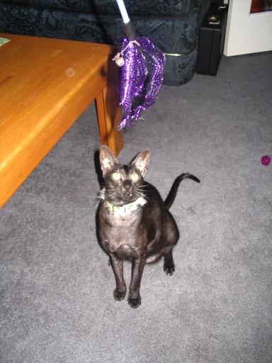 click for larger size