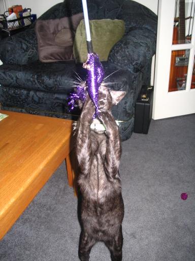 click for larger size