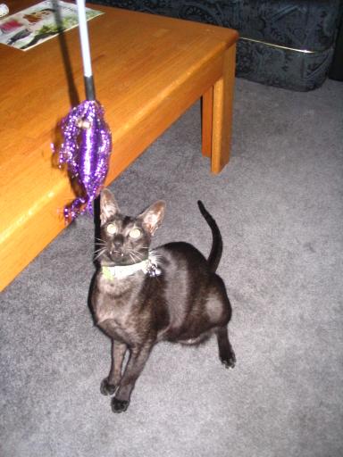 click for larger size