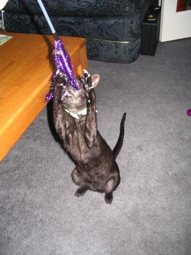 click for larger size