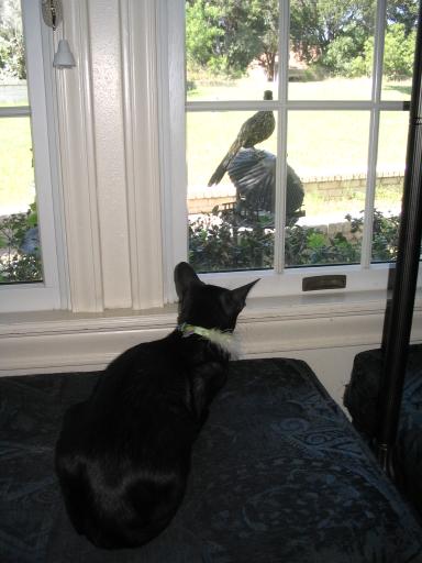 click for larger size