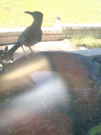 click for larger size