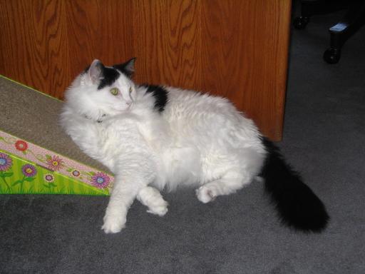 click for larger size