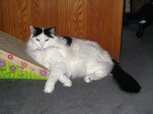 click for larger size