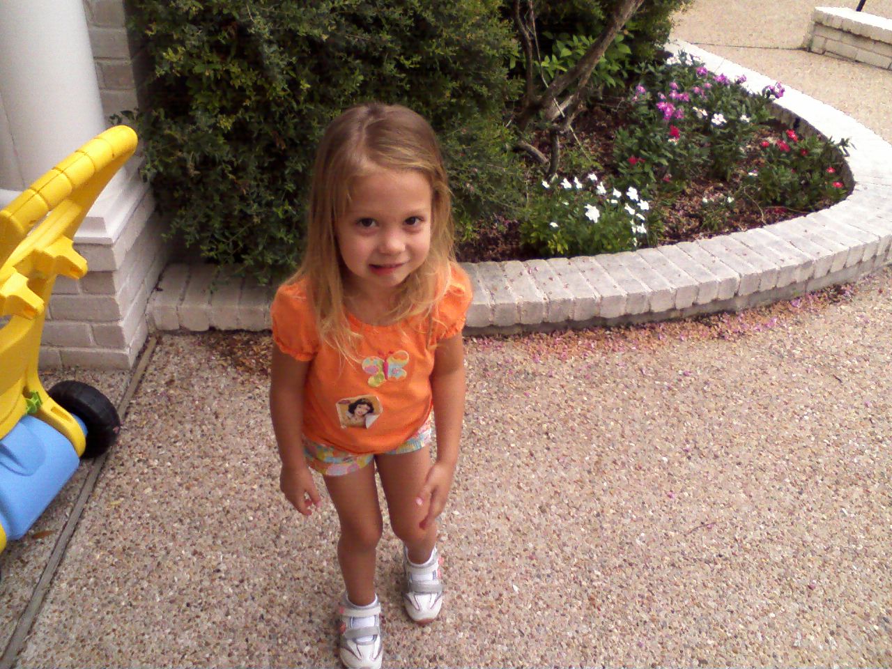 click for larger size