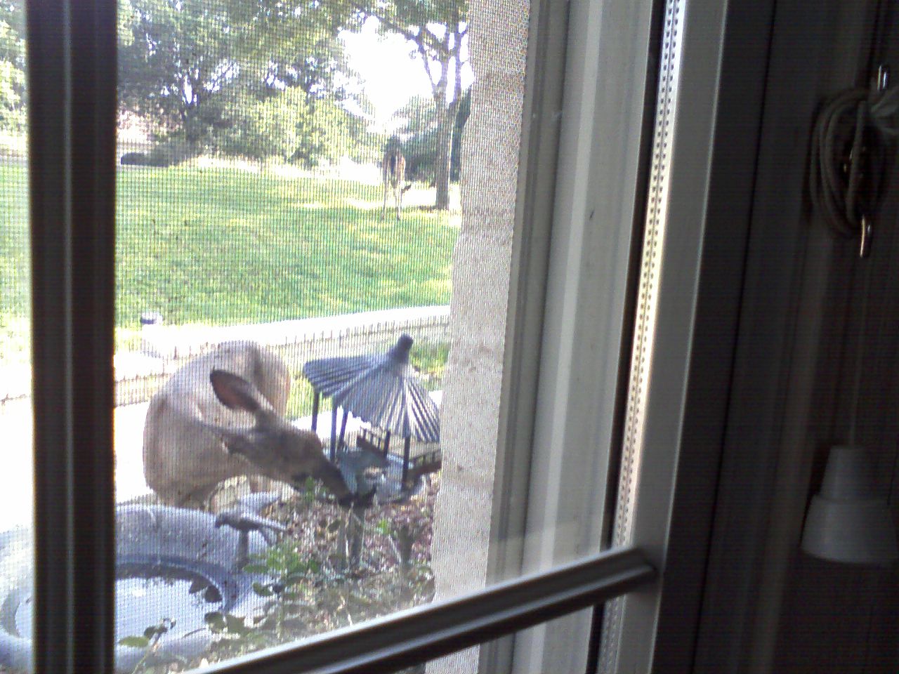 click for larger size