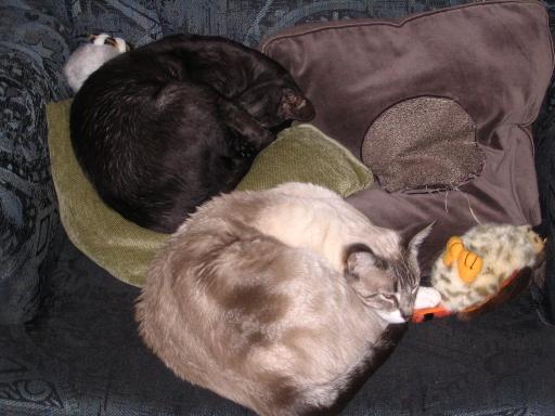 click for larger size