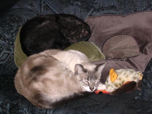 click for larger size