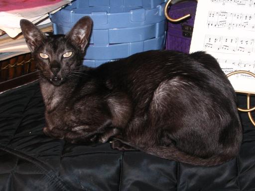 click for larger size