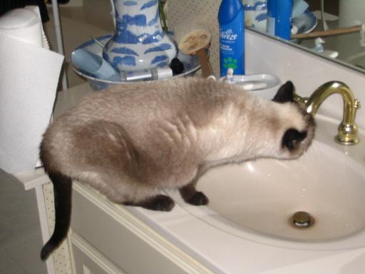 click for larger size