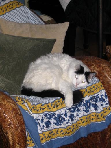 click for larger size