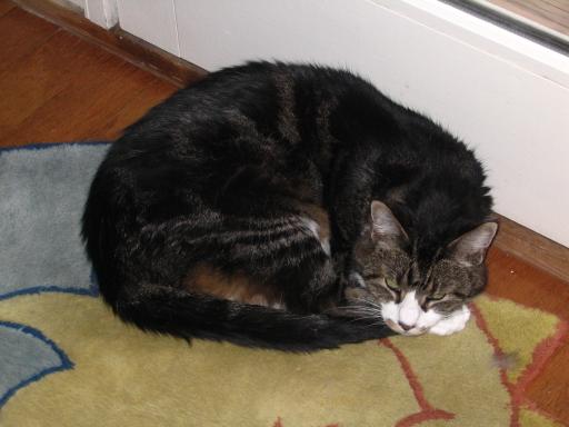 click for larger size