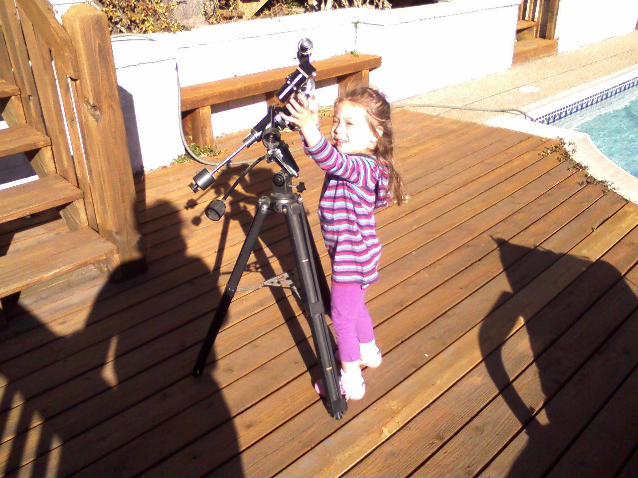 click for larger size