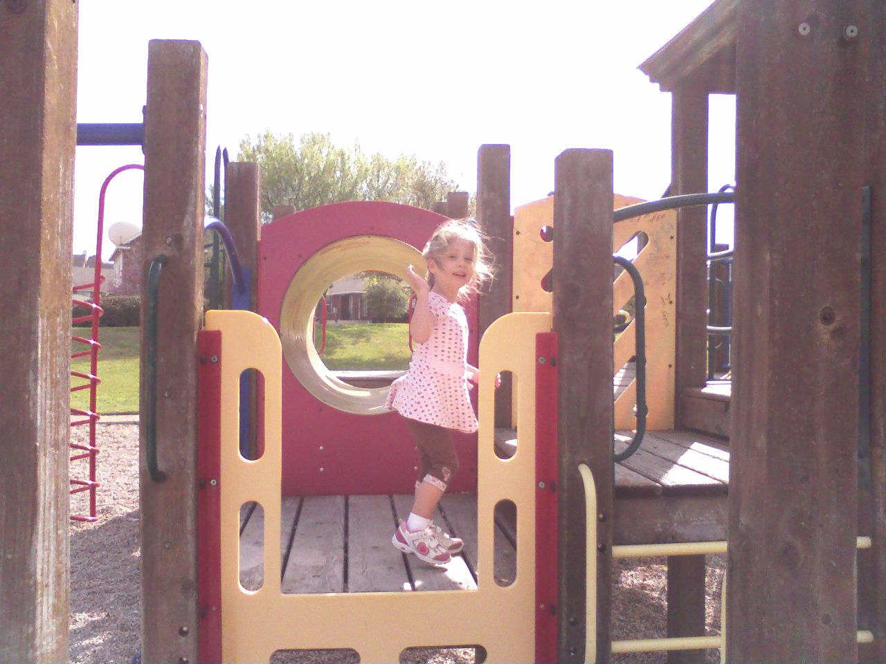 click for larger size