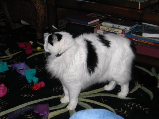 click for larger size