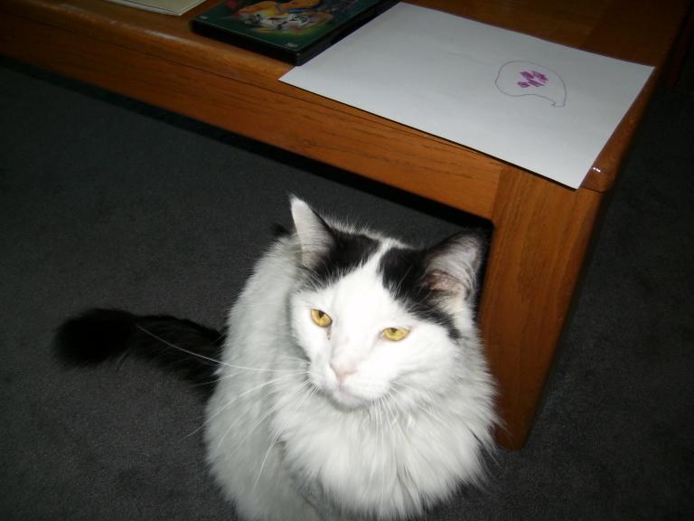 click for larger size