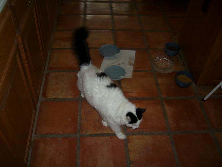 click for larger size