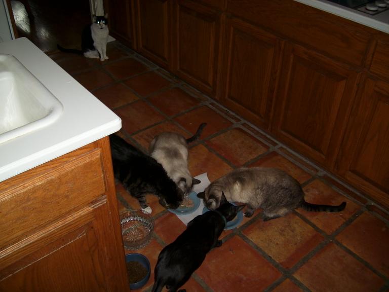 click for larger size