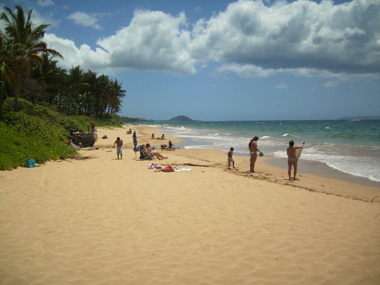 click for larger size