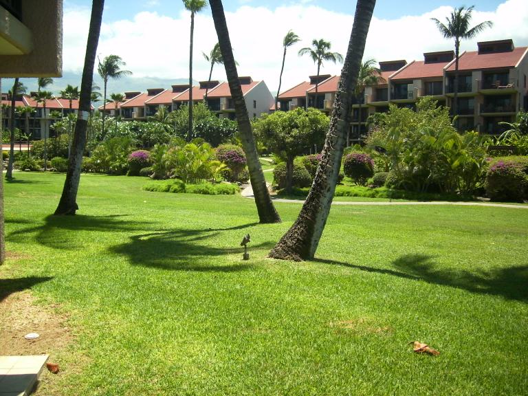 click for larger size