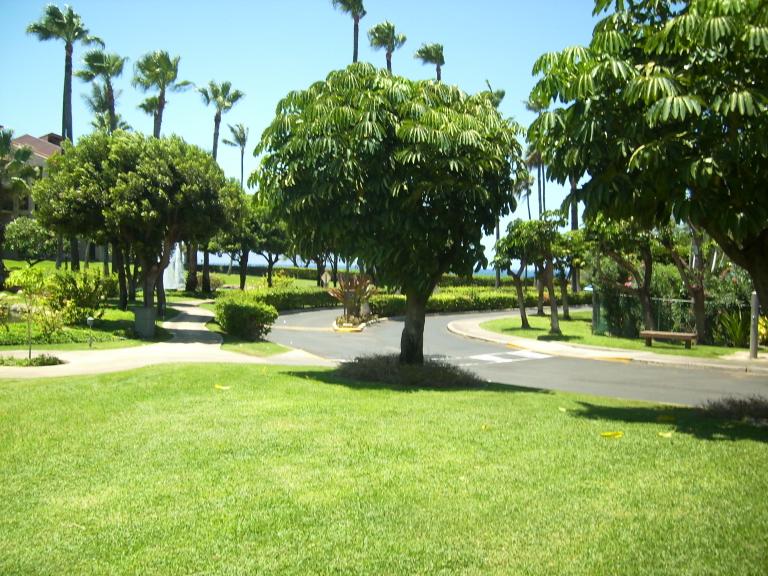 click for larger size