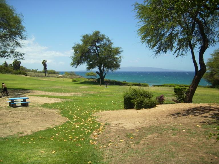 click for larger size